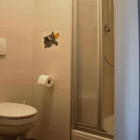 Cvjm Peregrinus * Görlitz